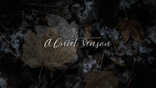 A Season for Slowing Down