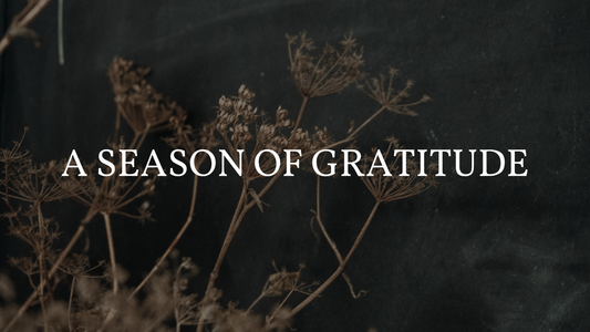 A Season of Gratitude: Thank You for Supporting Small & Local