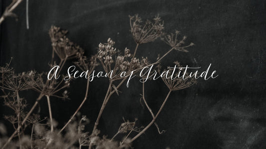 A Season of Gratitude: Thank You for Supporting Small & Local