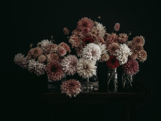 Étude des Dahlias Print No. 1