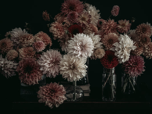 Étude des Dahlias Print No. 3