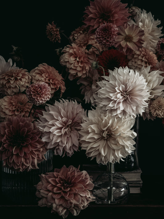 Étude des Dahlias Print No. 4