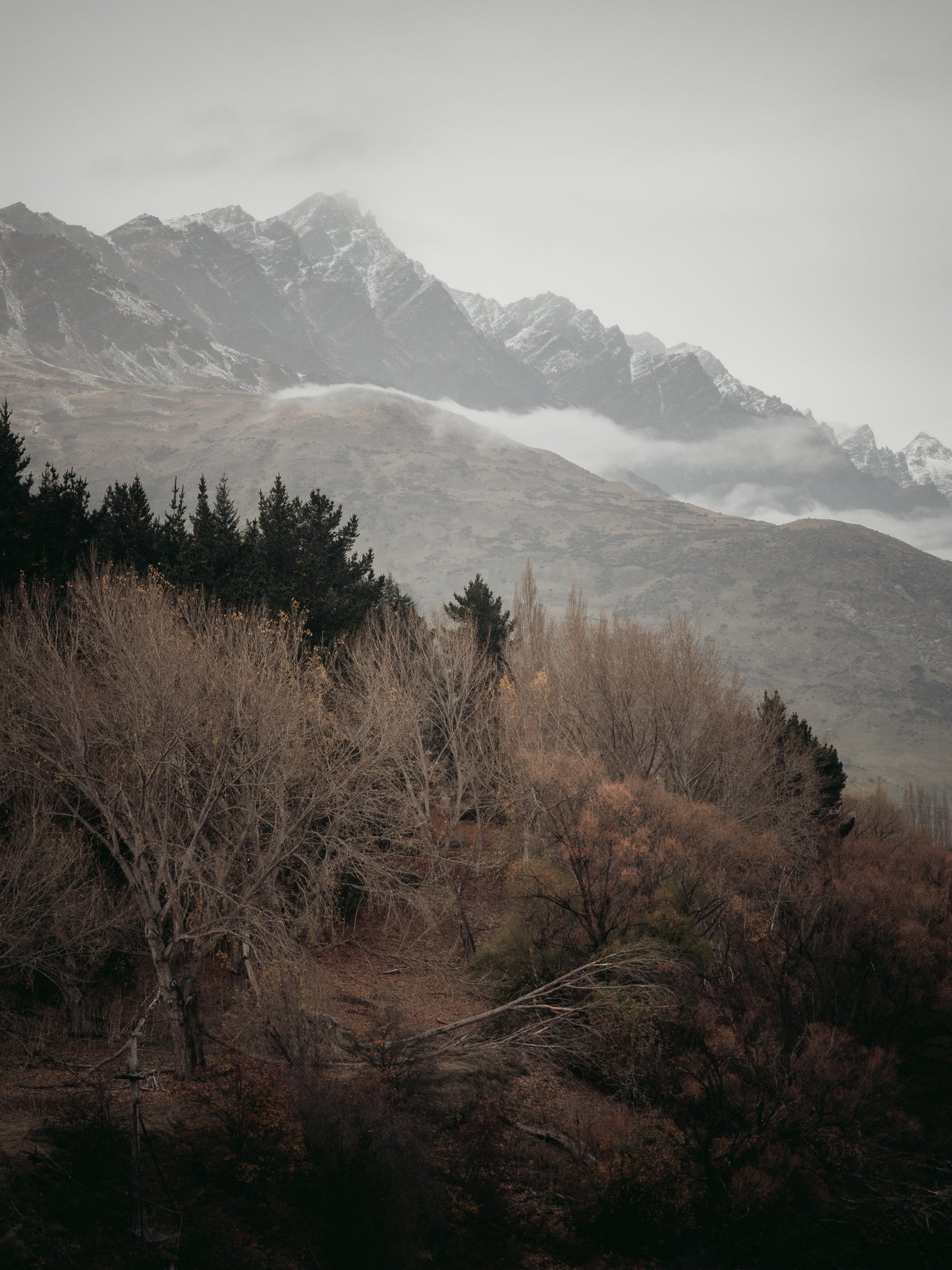 Tundra & Stone Print No. 11