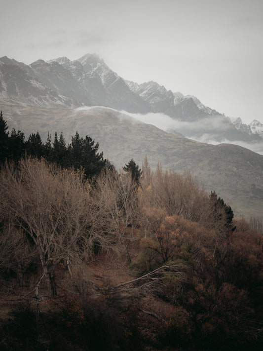 Tundra & Stone Print No. 11